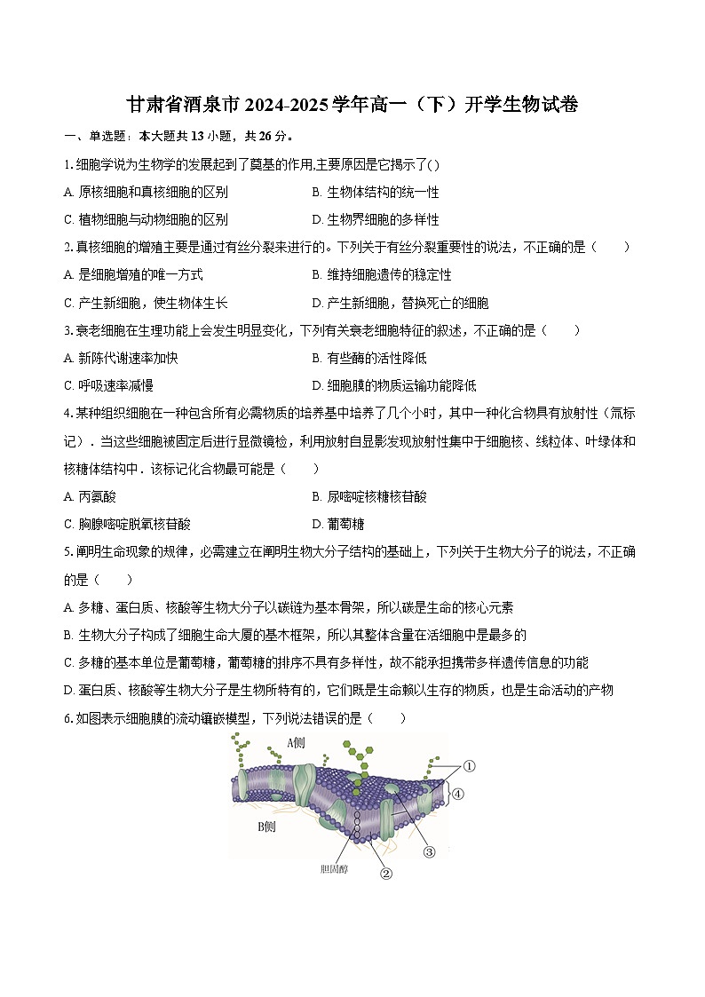 甘肃省酒泉市2024-2025学年高一（下）开学生物试卷-（含解析）第1页