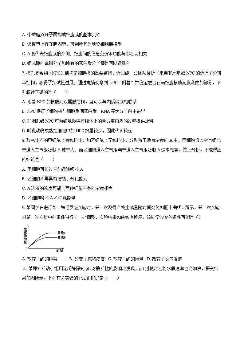 甘肃省酒泉市2024-2025学年高一（下）开学生物试卷-（含解析）第2页