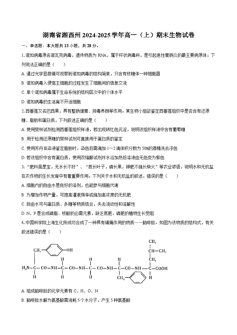 湖南省湘西州2024-2025学年高一（上）期末生物试卷（含解析）第1页