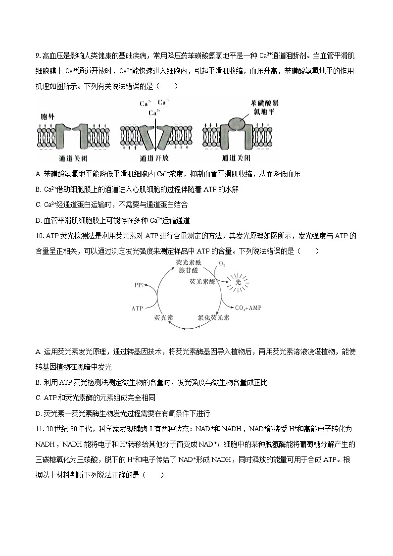 湖南省湘西州2024-2025学年高一（上）期末生物试卷（含解析）第3页