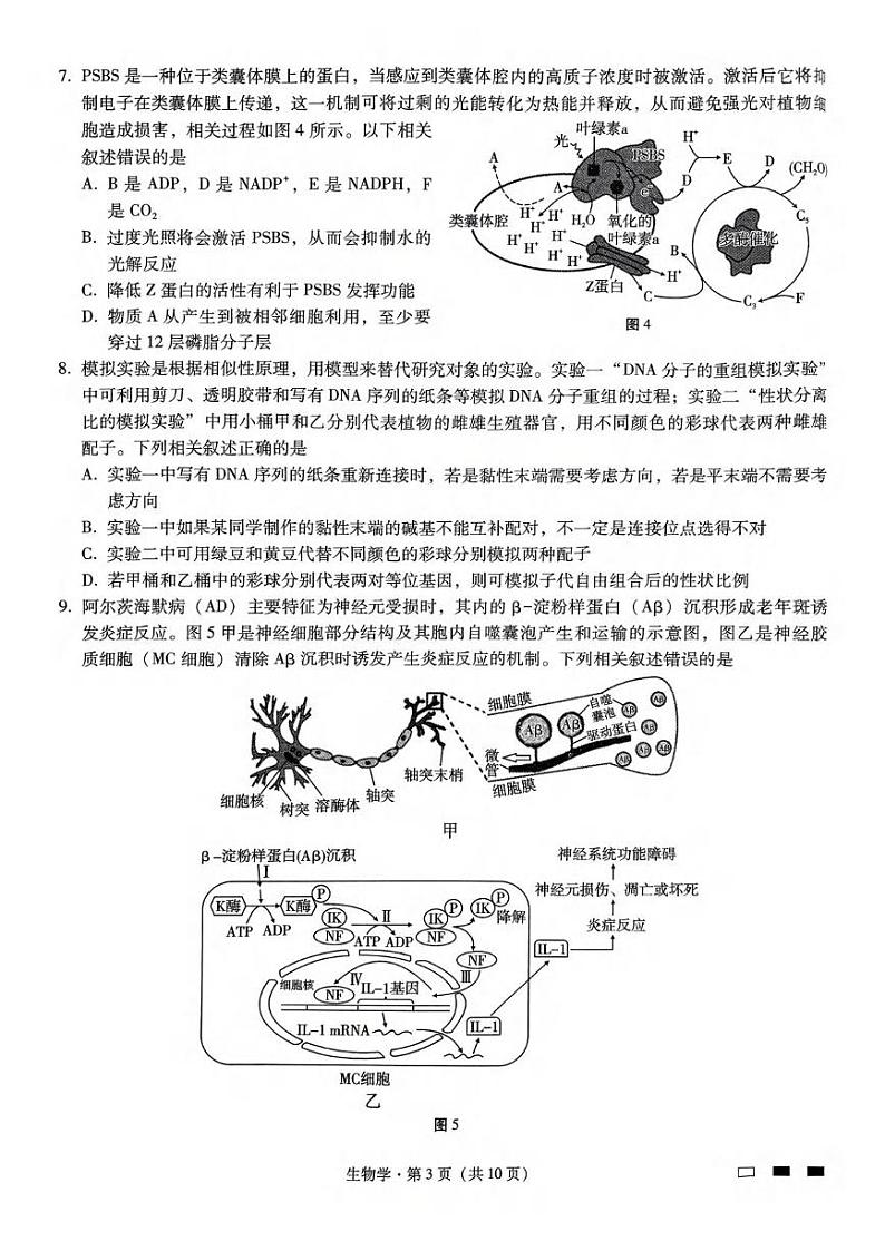 巴蜀中学高三2月月考 生物试卷第3页