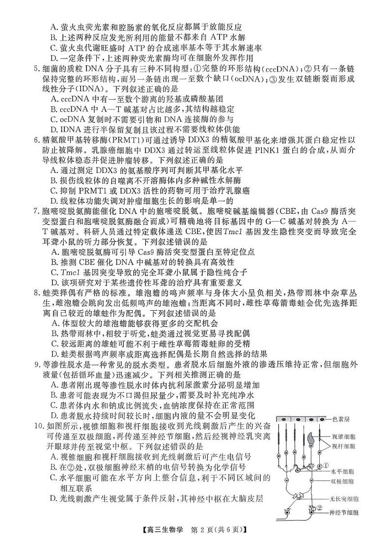 河南省驻马店市统考2024-2025学年高三下学期2月质量检测生物试题第2页