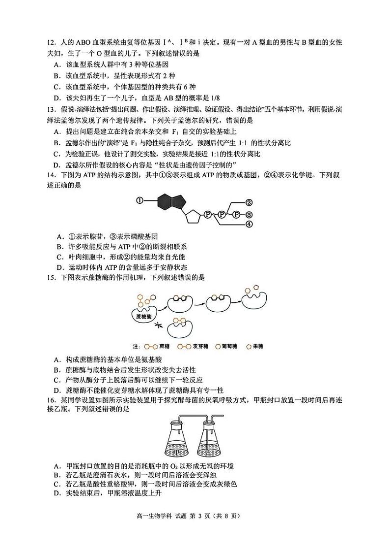 浙江省浙南名校联盟2024-2025学年高一下学期开学生物试题第3页