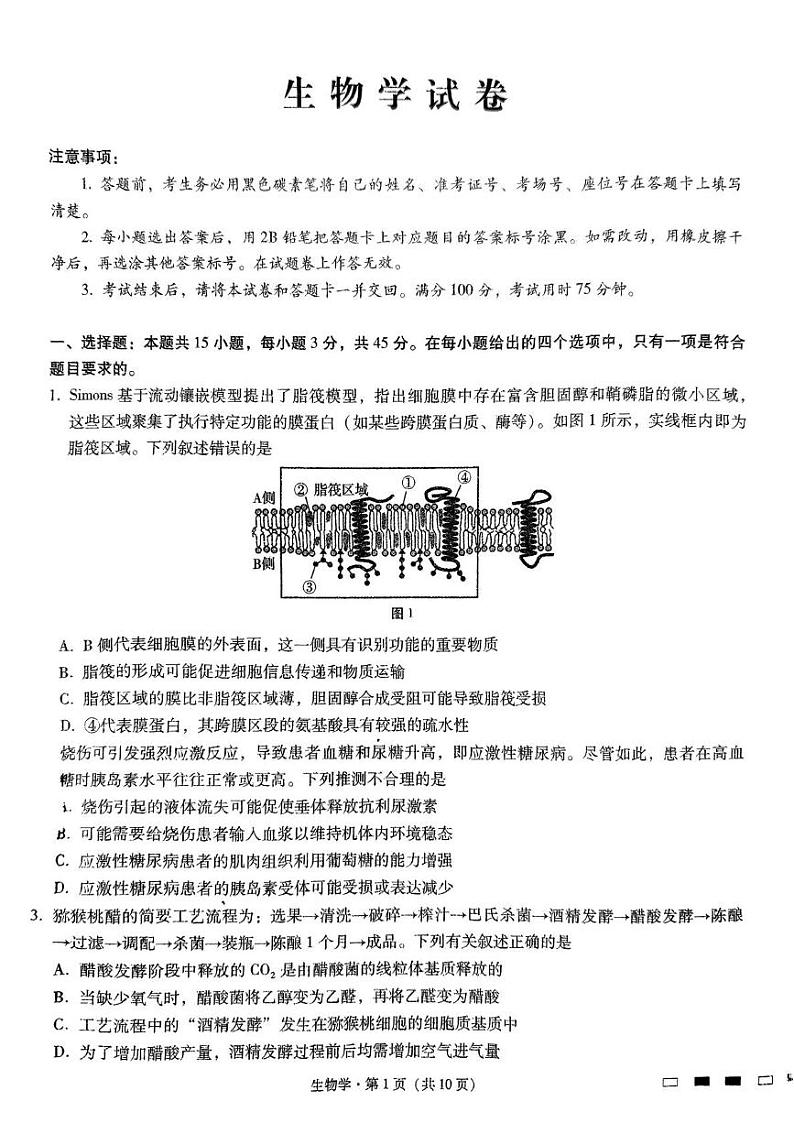 重庆市巴蜀中学2024—2025学年高三下学期适应性月考卷（五）生物试题第1页