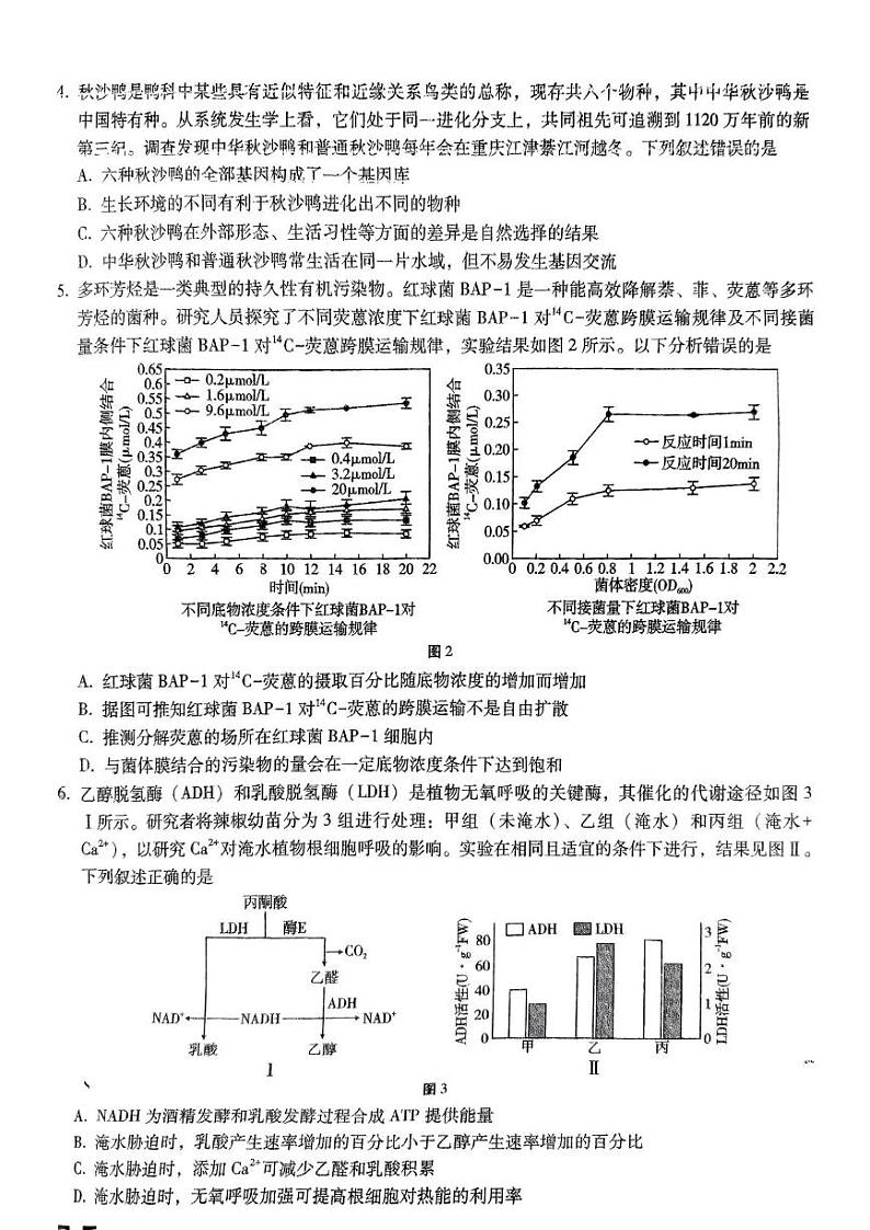 重庆市巴蜀中学2024—2025学年高三下学期适应性月考卷（五）生物试题第2页