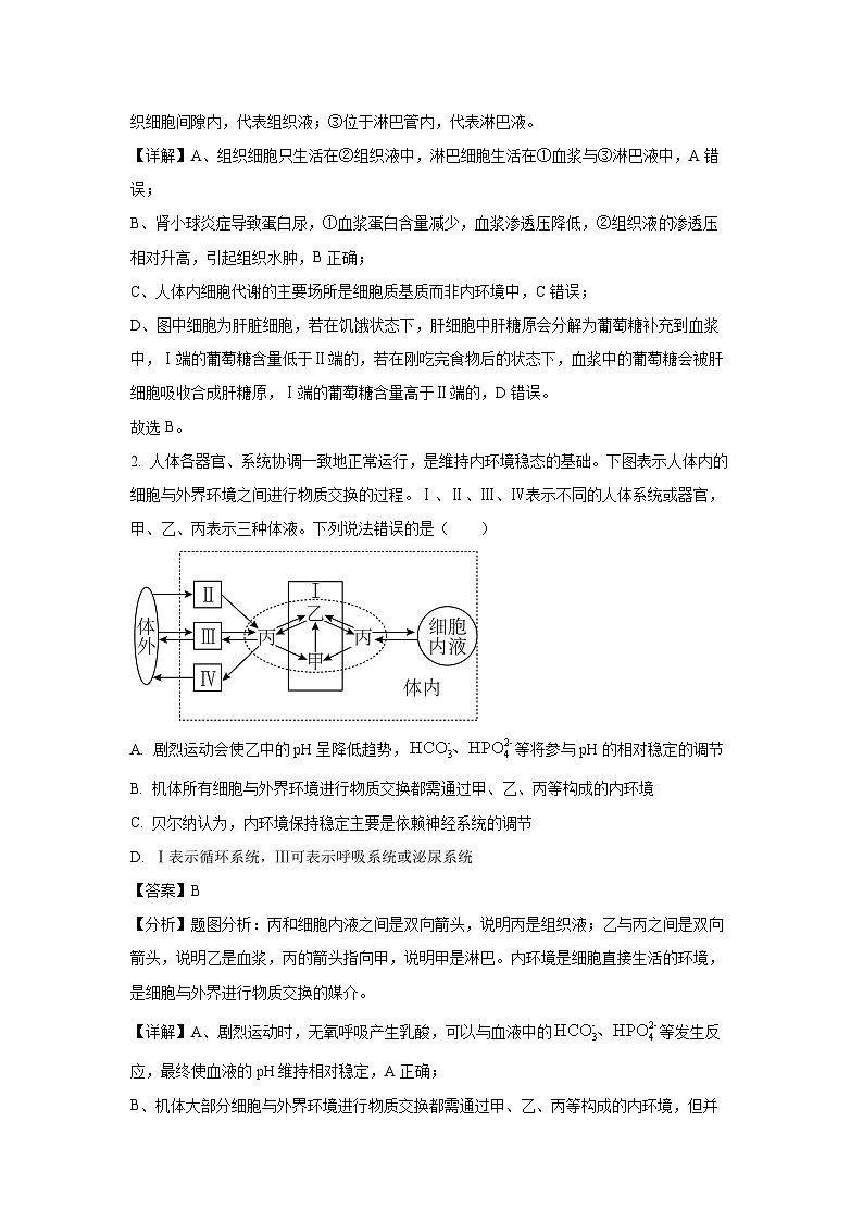 重庆市万州三中、璧山大路中学等50多校2024-2025学年高二上学期12月月考生物试卷（解析版）第2页