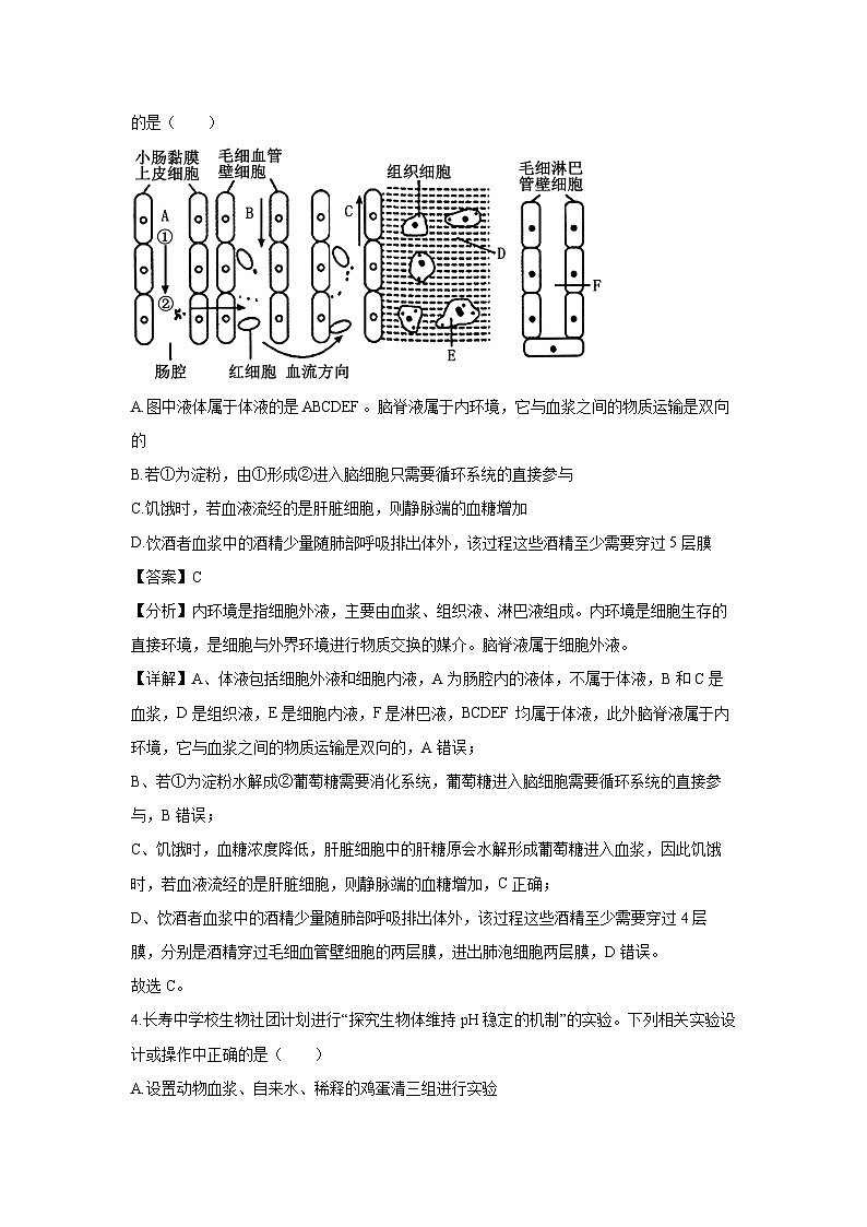 重庆市铜梁中学、江津中学等7校联考2024-2025学年高二上学期12月月考生物试卷（解析版）第3页