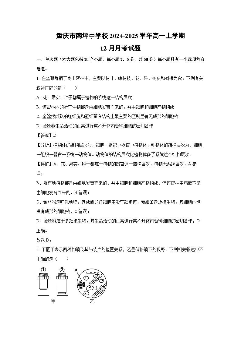 重庆市南坪中学校2024-2025学年高一上学期12月月考生物试卷（解析版）第1页