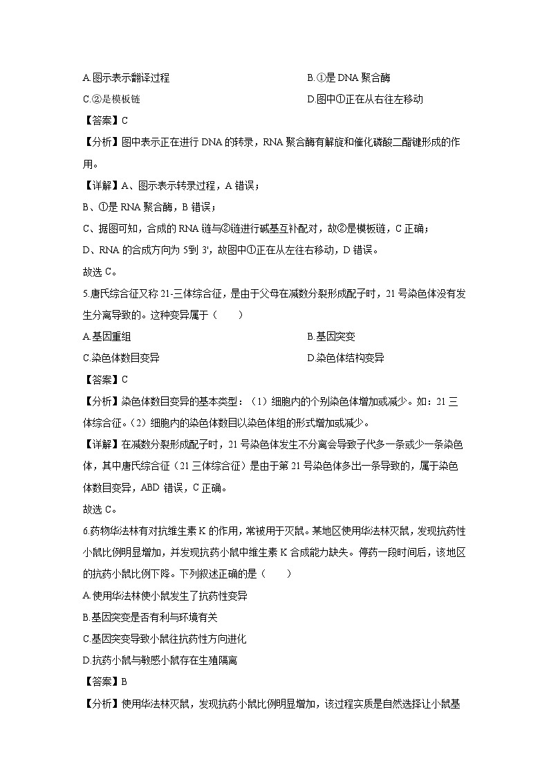 浙江省杭州市S9联盟2024-2025学年高二上学期期中联考生物试卷（解析版）第3页