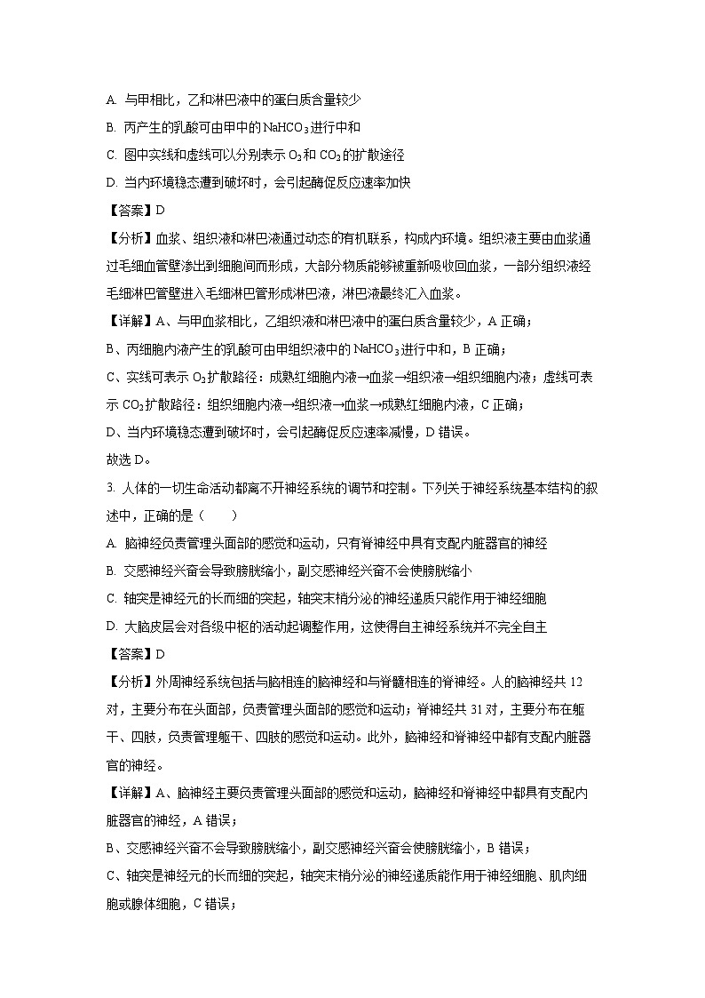 四川省眉山市东坡区2024-2025学年高二上学期11月期中生物试卷（解析版）第2页