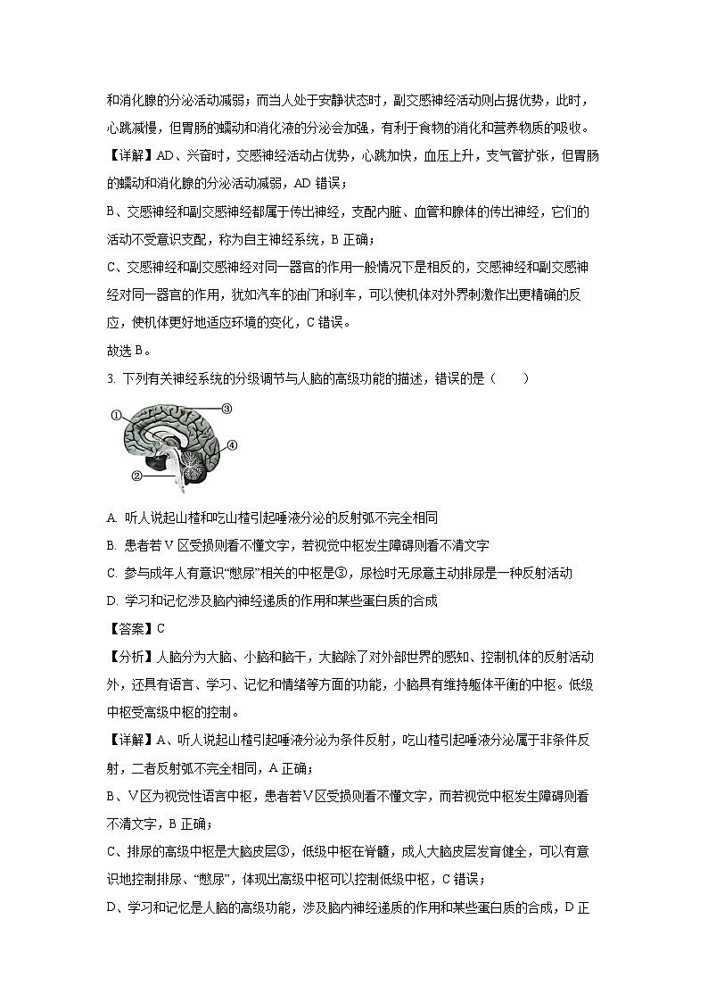 四川省泸州市龙马潭区2024-2025学年高二上学期11月期中生物试卷（解析版）第2页