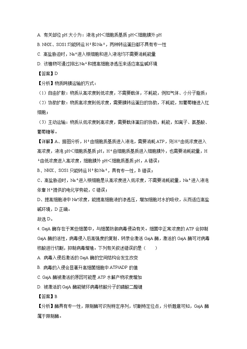 四川省泸州市2024-2025学年高三上学期第一次教学质量诊断性考试生物试卷（解析版）第3页