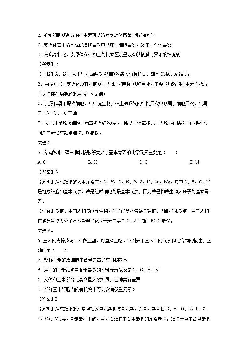四川省广元市直属学校2024-2025学年高一上学期期中考试生物试卷（解析版）第3页