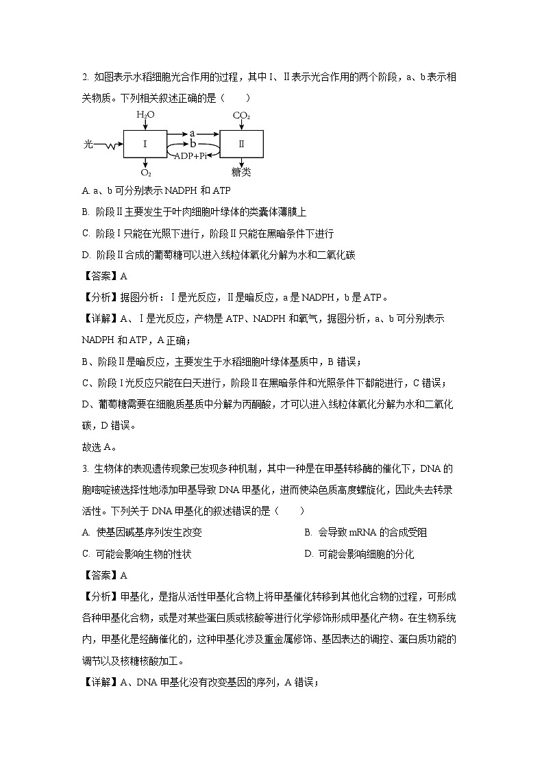 陕西省汉中市2024-2025学年高二上学期11月期中校际联考生物试卷（解析版）第2页