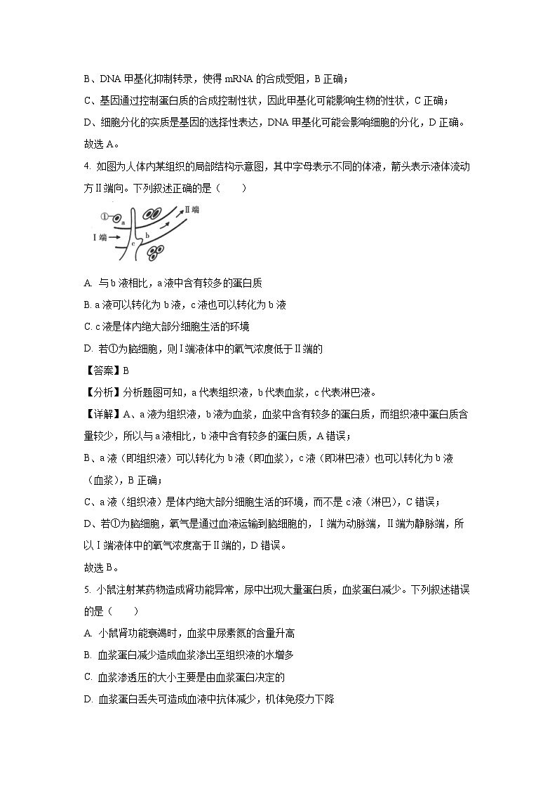 陕西省汉中市2024-2025学年高二上学期11月期中校际联考生物试卷（解析版）第3页