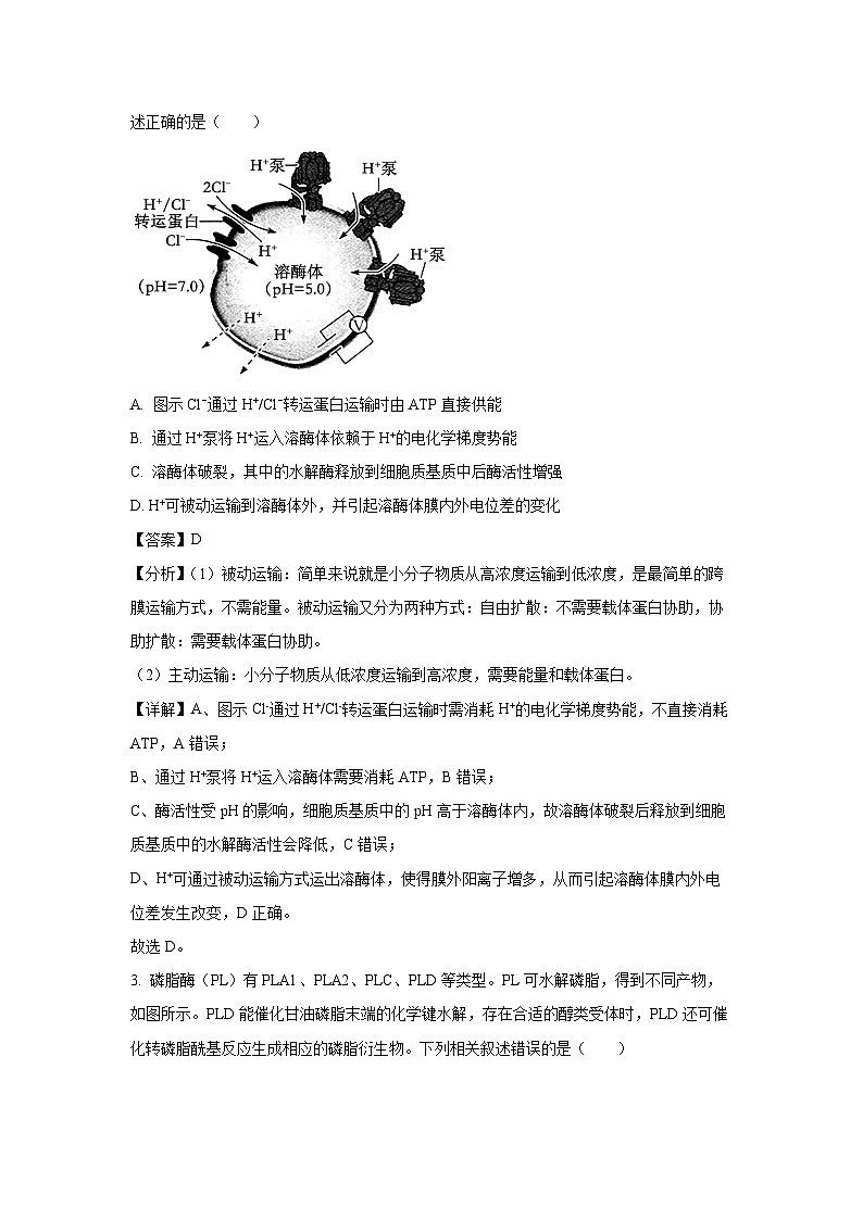 山西省2024-2025学年高三上学期11月月考生物试卷（解析版）第2页