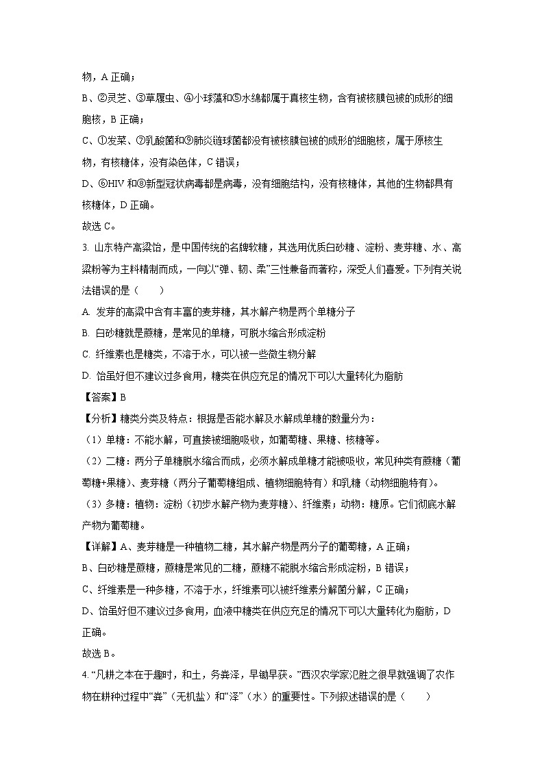 山东省潍坊市某校2024-2025学年高一上学期10月阶段测试生物试卷（解析版）第2页