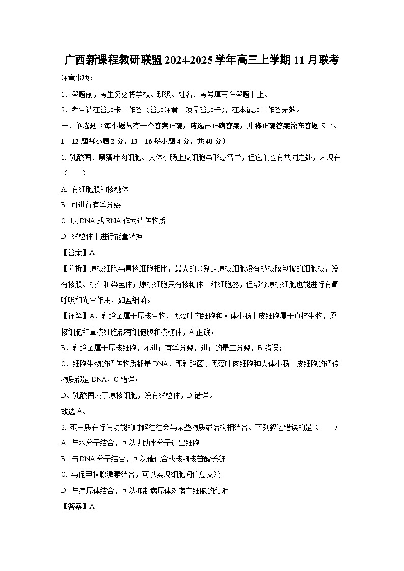 广西新课程教研联盟2024-2025学年高三上学期11月联考生物试卷（解析版）第1页