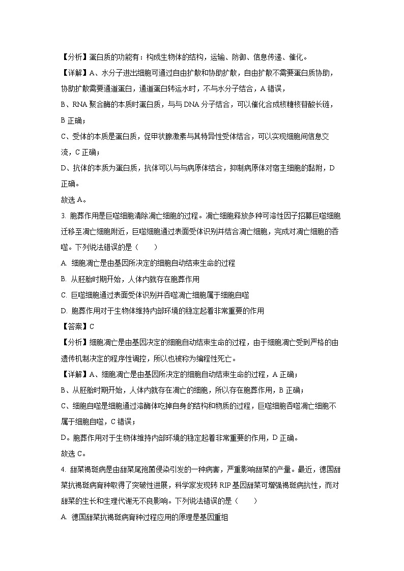广西新课程教研联盟2024-2025学年高三上学期11月联考生物试卷（解析版）第2页