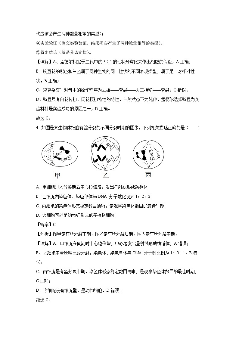 甘肃省天水市麦积区联考2024-2025学年高三上学期12月月考生物试卷（解析版）第3页