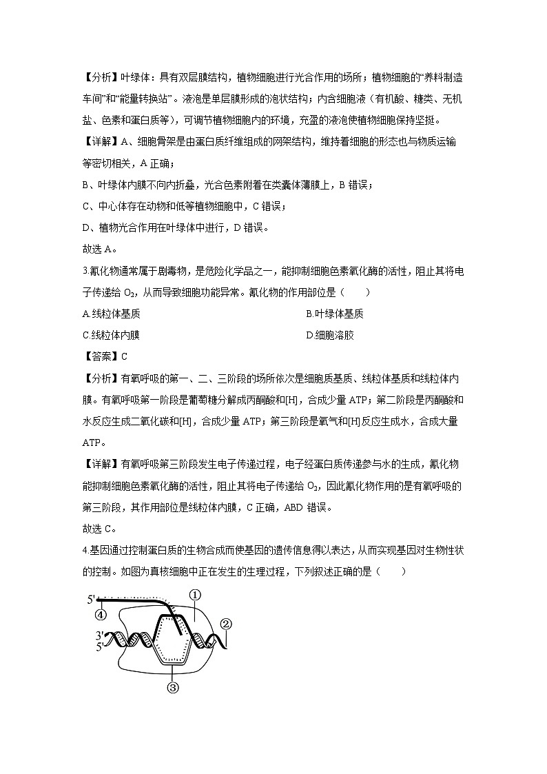 2024-2025学年浙江省杭州市S9联盟高二上学期期中联考生物试卷（解析版）第2页