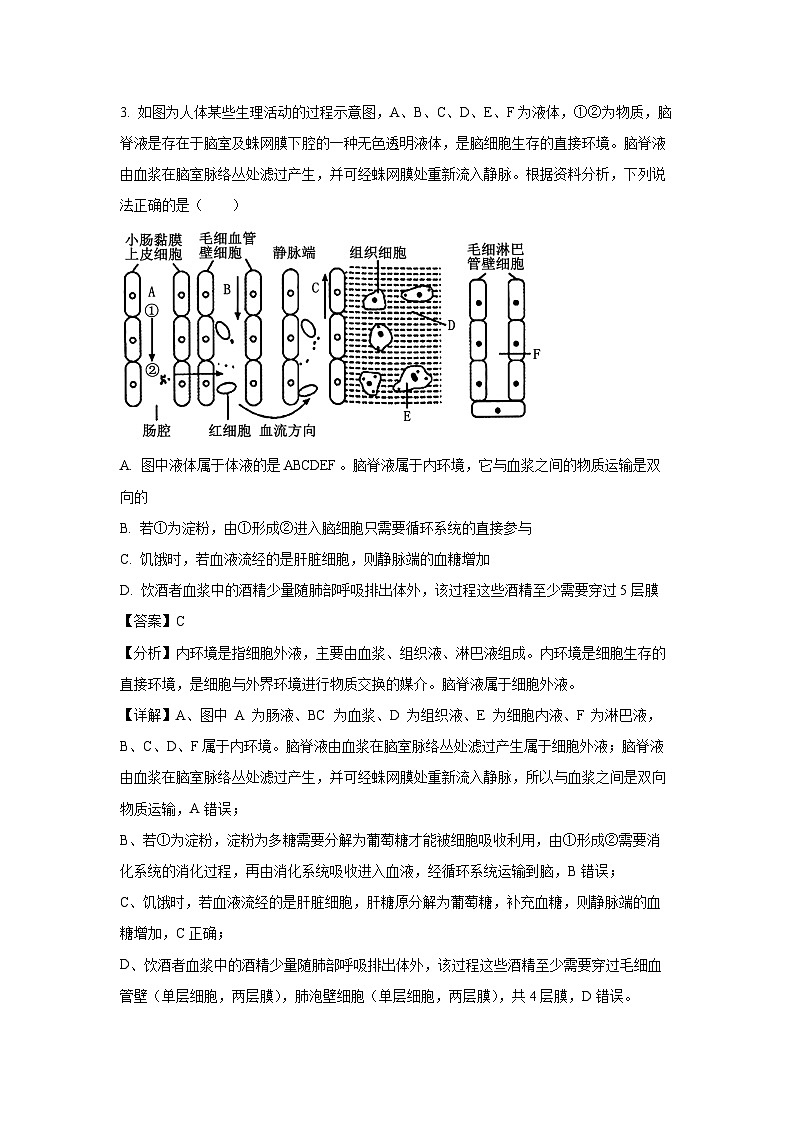 2024-2025学年重庆市长寿区七校联盟高二上学期12月期中生物试卷（解析版）第3页