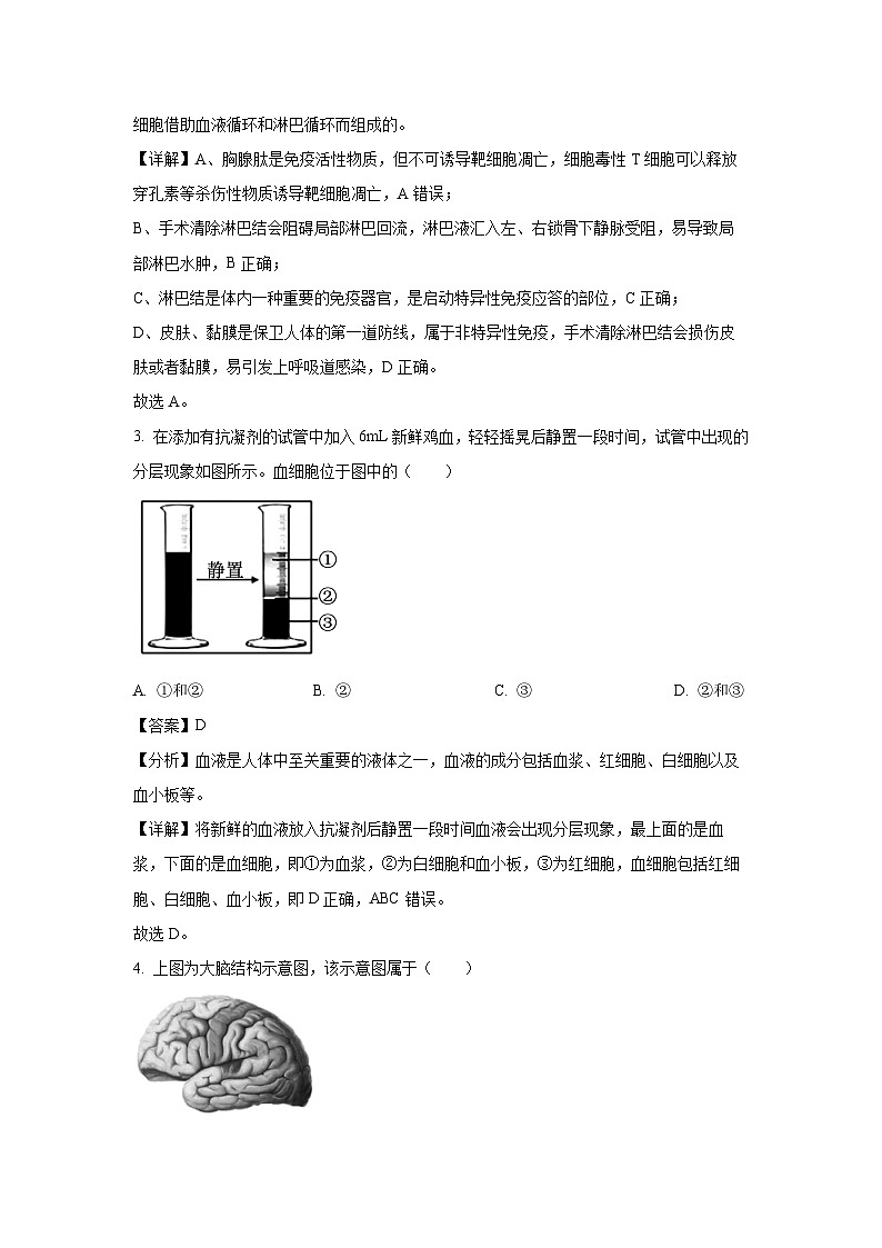 2024-2025学年浙江省强基联盟高二上学期11月联考生物试卷（解析版）第2页