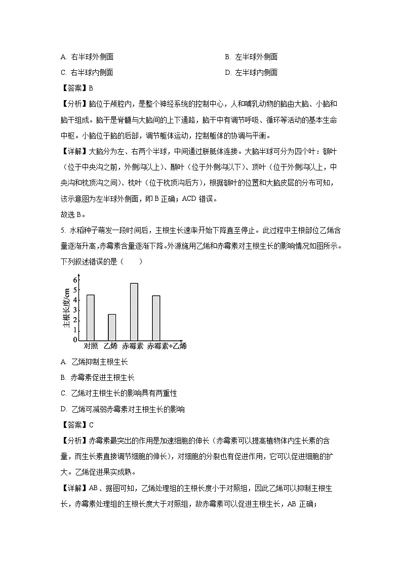 2024-2025学年浙江省强基联盟高二上学期11月联考生物试卷（解析版）第3页