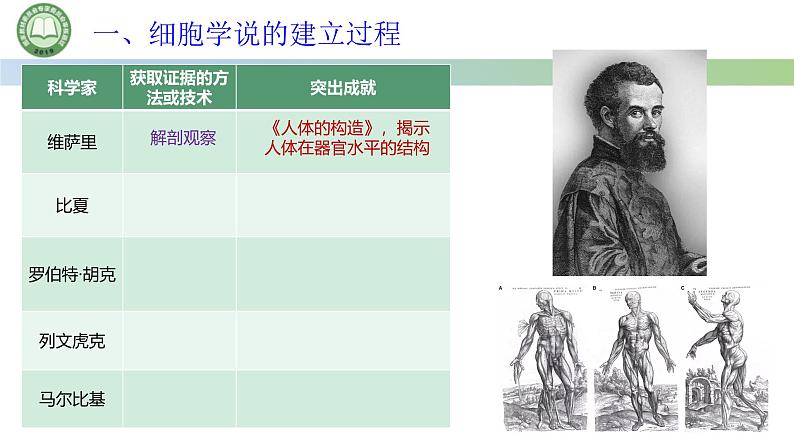 人教版高中生物必修一 1.1细胞是生命活动的基本单位 第1课时 细胞学说的建立过程 课件第4页