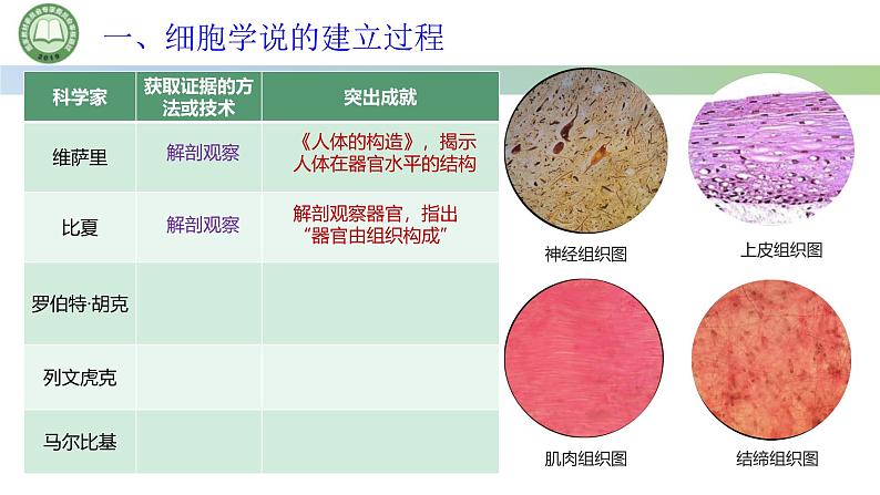 人教版高中生物必修一 1.1细胞是生命活动的基本单位 第1课时 细胞学说的建立过程 课件第5页