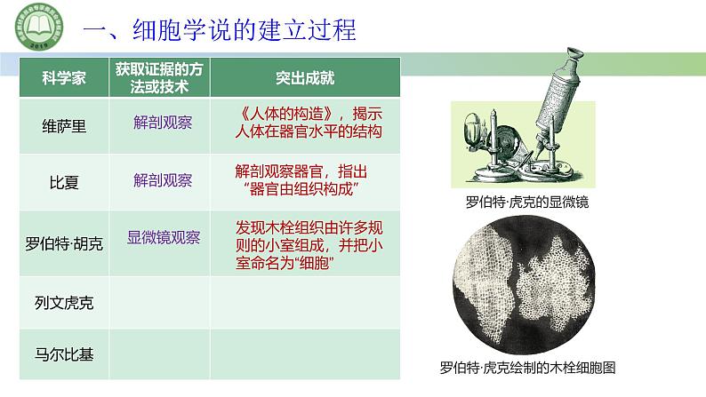 人教版高中生物必修一 1.1细胞是生命活动的基本单位 第1课时 细胞学说的建立过程 课件第6页