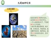 人教版高中生物必修一 2.2细胞中的无机物 第1课时 细胞中的水 课件