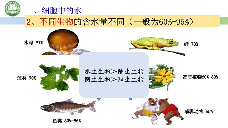 人教版高中生物必修一 2.2细胞中的无机物 第1课时 细胞中的水 课件第4页