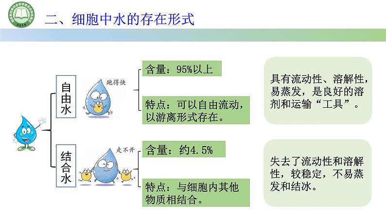 人教版高中生物必修一 2.2细胞中的无机物 第1课时 细胞中的水 课件第8页