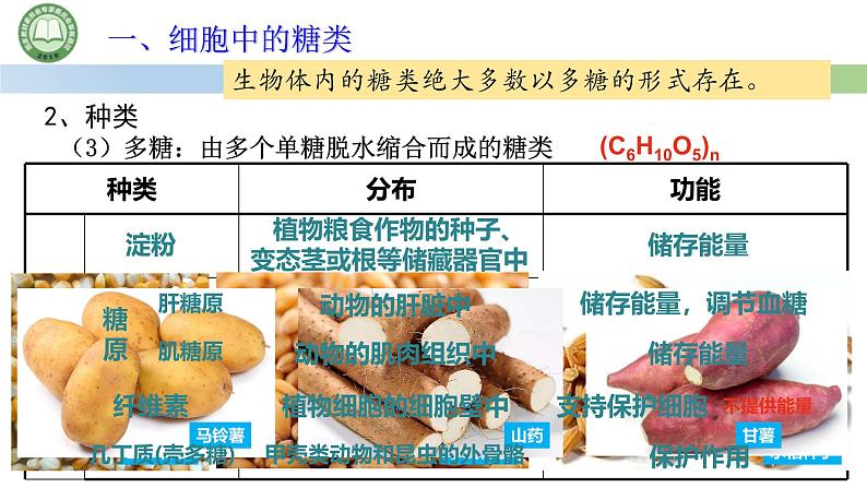 人教版高中生物必修一 2.3细胞中的糖类和脂质 第1课时 细胞中的糖类 课件第8页