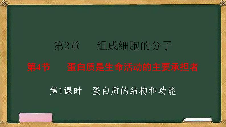 人教版高中生物必修一 2.4蛋白质是生命活动的主要承担者 第1课时 蛋白质的结构和功能 课件第2页