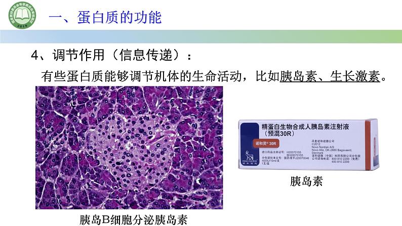 人教版高中生物必修一 2.4蛋白质是生命活动的主要承担者 第1课时 蛋白质的结构和功能 课件第7页