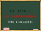 人教版高中生物必修一 2.4蛋白质是生命活动的主要承担者 第2课时 蛋白质的结构和多样性 课件