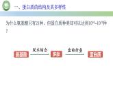 人教版高中生物必修一 2.4蛋白质是生命活动的主要承担者 第2课时 蛋白质的结构和多样性 课件