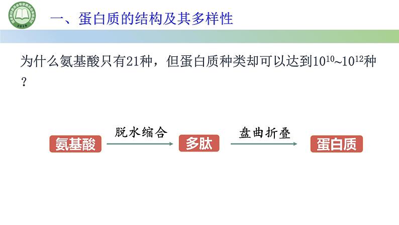 人教版高中生物必修一 2.4蛋白质是生命活动的主要承担者 第2课时 蛋白质的结构和多样性 课件第2页