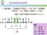 人教版高中生物必修一 2.4蛋白质是生命活动的主要承担者 第2课时 蛋白质的结构和多样性 课件
