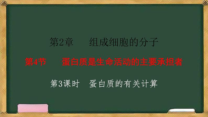 人教版高中生物必修一 2.4蛋白质是生命活动的主要承担者 第3课时 蛋白质的有关计算 课件第1页