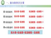人教版高中生物必修一 2.4蛋白质是生命活动的主要承担者 第3课时 蛋白质的有关计算 课件