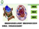 人教版高中生物必修一 3.1细胞膜的结构和功能 第1课时 细胞膜的功能 课件