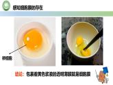 人教版高中生物必修一 3.1细胞膜的结构和功能 第1课时 细胞膜的功能 课件