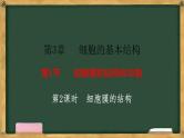 人教版高中生物必修一 3.1细胞膜的结构和功能 第2课时 细胞膜的结构 课件