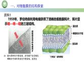 人教版高中生物必修一 3.1细胞膜的结构和功能 第2课时 细胞膜的结构 课件