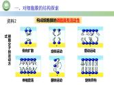人教版高中生物必修一 3.1细胞膜的结构和功能 第2课时 细胞膜的结构 课件