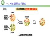 人教版高中生物必修一 3.1细胞膜的结构和功能 第2课时 细胞膜的结构 课件