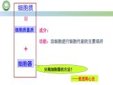 人教版高中生物必修一 3.2细胞器之间的分工合作 第1课时 细胞器的结构和功能 课件